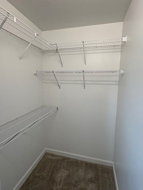 Carroll Crossing-Duplex in Winterville property image